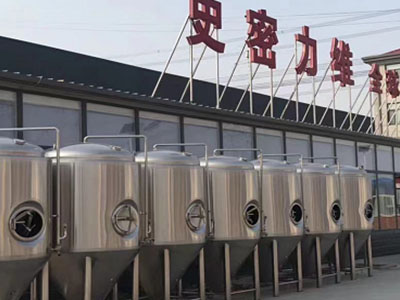 平度精酿啤酒设备厂—市场规模与跨界新需求